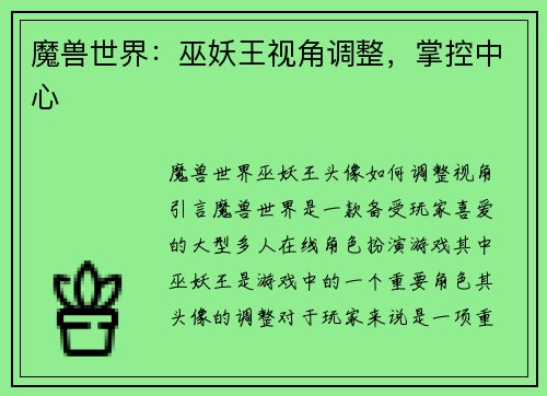 魔兽世界：巫妖王视角调整，掌控中心